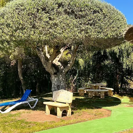 Lima Dehesa de Campoamor (Orihuela Costa)